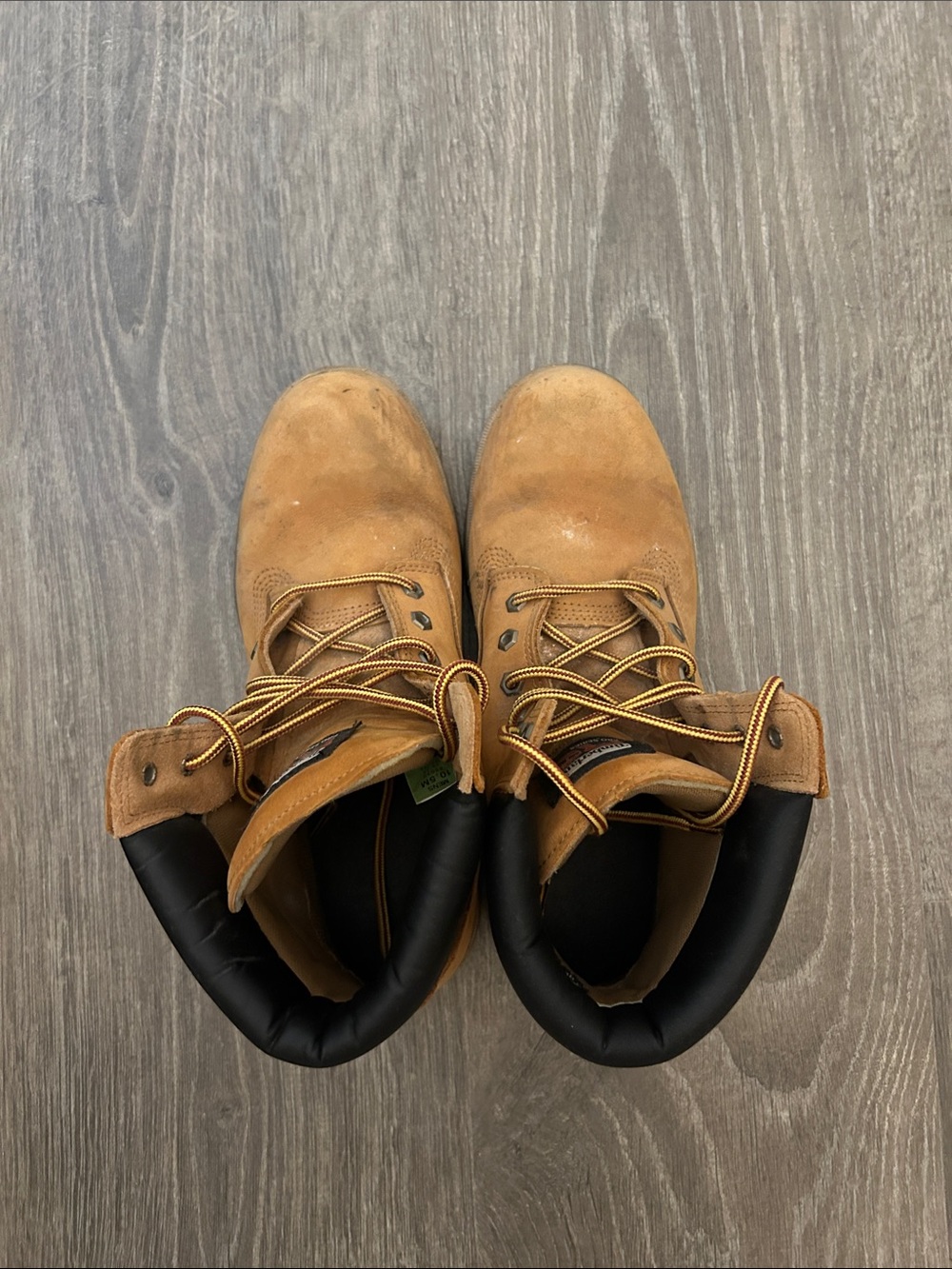 Timberland Wheat/Brown Nubuck Lace-Up Boots